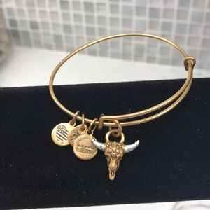 Alex & Ani (r) Gold & Silver bracelet